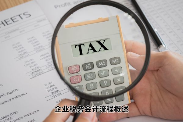 企业税务会计流程概述.jpg