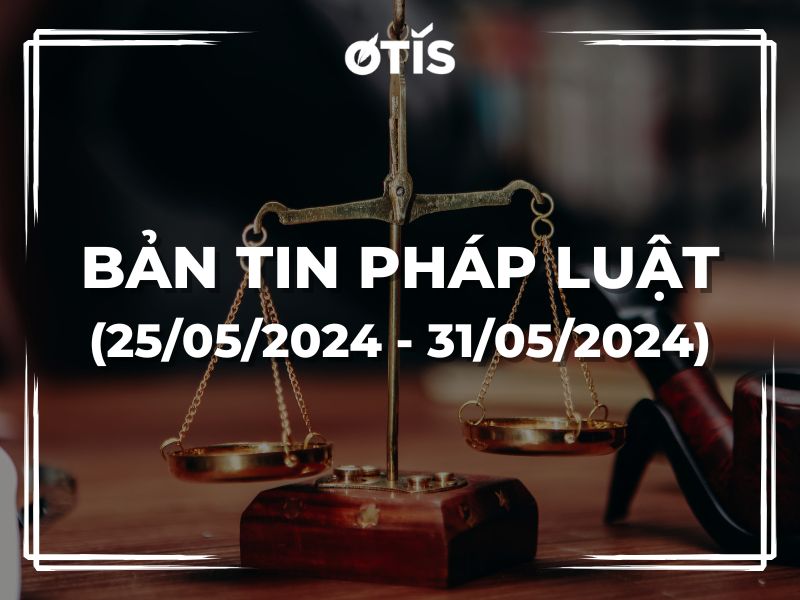 BẢN TIN PHÁP LUẬT (TUẦN 25/05/2024 ~ 31/05/2024): 06 TRƯỜNG HỢP BỊ THU HỒI BẰNG LÁI XE TỪ 01/06/2024
