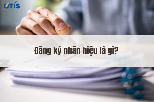 cong-ty-luat-ho-tro-dang-ky-nhan-hieu.jpg