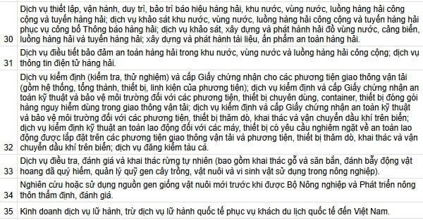 dich-vu-tu-van-dau-tu-tai-viet-nam-2.jpg