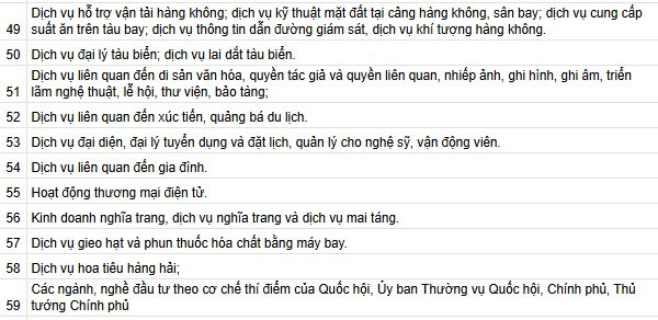 dich-vu-tu-van-dau-tu-tai-viet-nam-7 (1).jpg