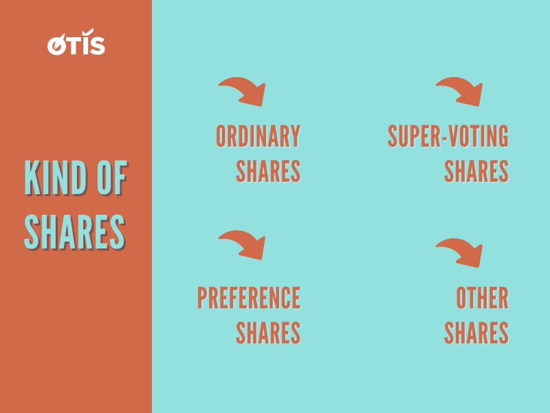 what-are-shares-things-to-know-about-shares-and-shareholders (2).jpg