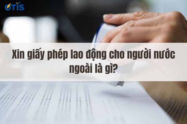 xin-giay-phep-lao-dong-cho-nguoi-nuoc-ngoai.jpg